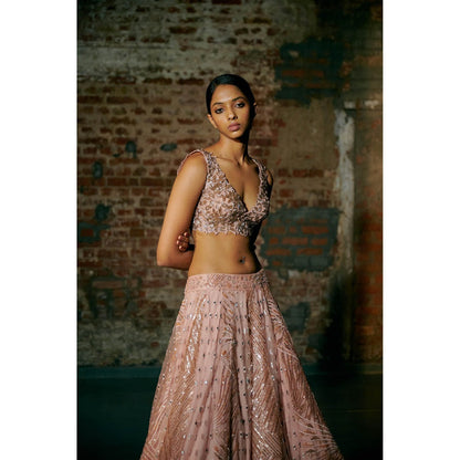 Asaga Rose Gold Swarm Lehenga with Blouse and Dupatta (Set of 3)