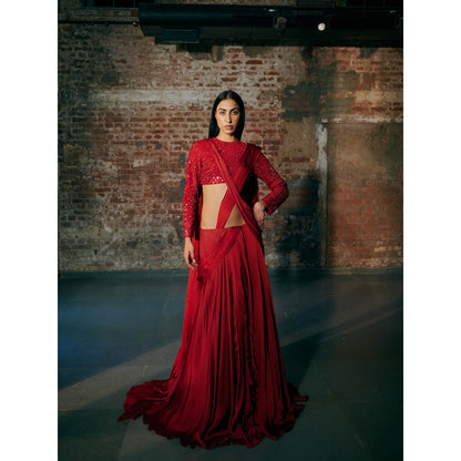 Asaga Drupe Tulle Full Sleeve Blouse with Draped Skirt (Set of 2)