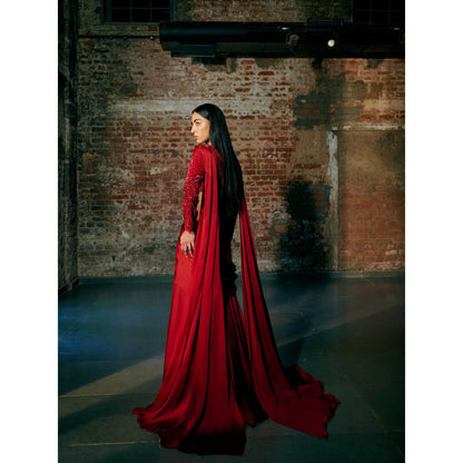 Asaga Drupe Tulle Full Sleeve Blouse with Draped Skirt (Set of 2)