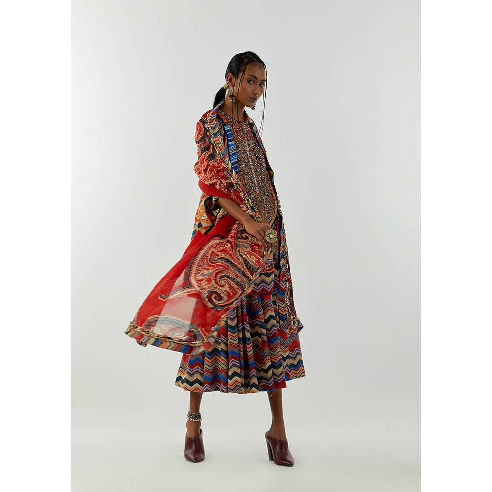 Aseem Kapoor Multi-Colour Kinara Printed Dupatta