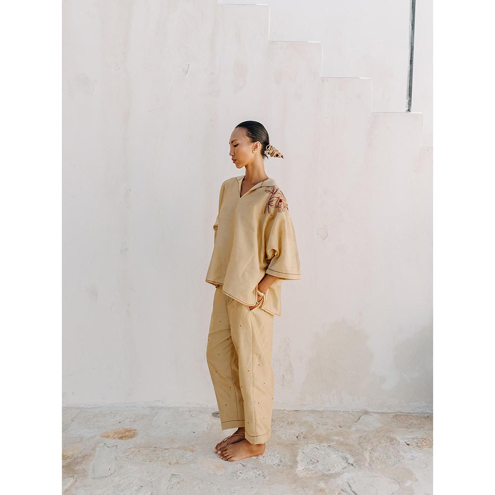 Auruhfy Solara Embroidered Top and Pant (Set of 2)