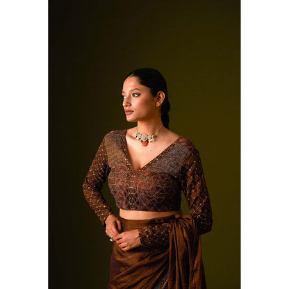 AURUL Dark Brown Embroidered Saree with Stitched Blouse