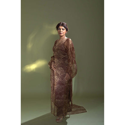 AURUL Rust Banaras Silk Crystal Emb Kurta with Pant and Dupatta (Set of 3)