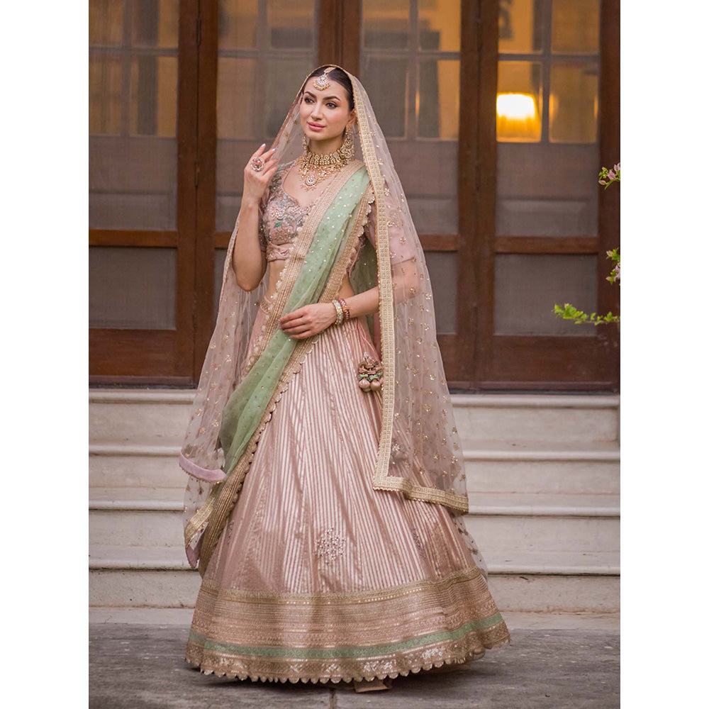 AVNNI KAPUR Banarsi Gota Patti Lehenga with Choli and Sequience Work Dupatta (Set of 4)