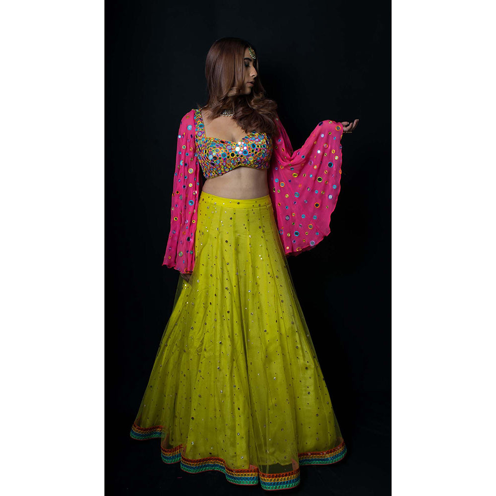 AVNNI KAPUR Green Net Mukaish Lehenga with Georgette Mirror Work Choli (Set of 2)