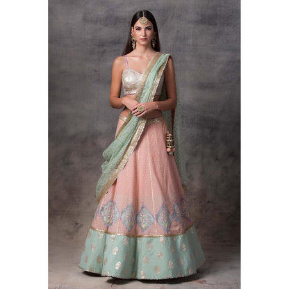 AVNNI KAPUR Peach Lehenga with Bottom Hem, Paired with Choli with Organza Dupatta (Set of 3)
