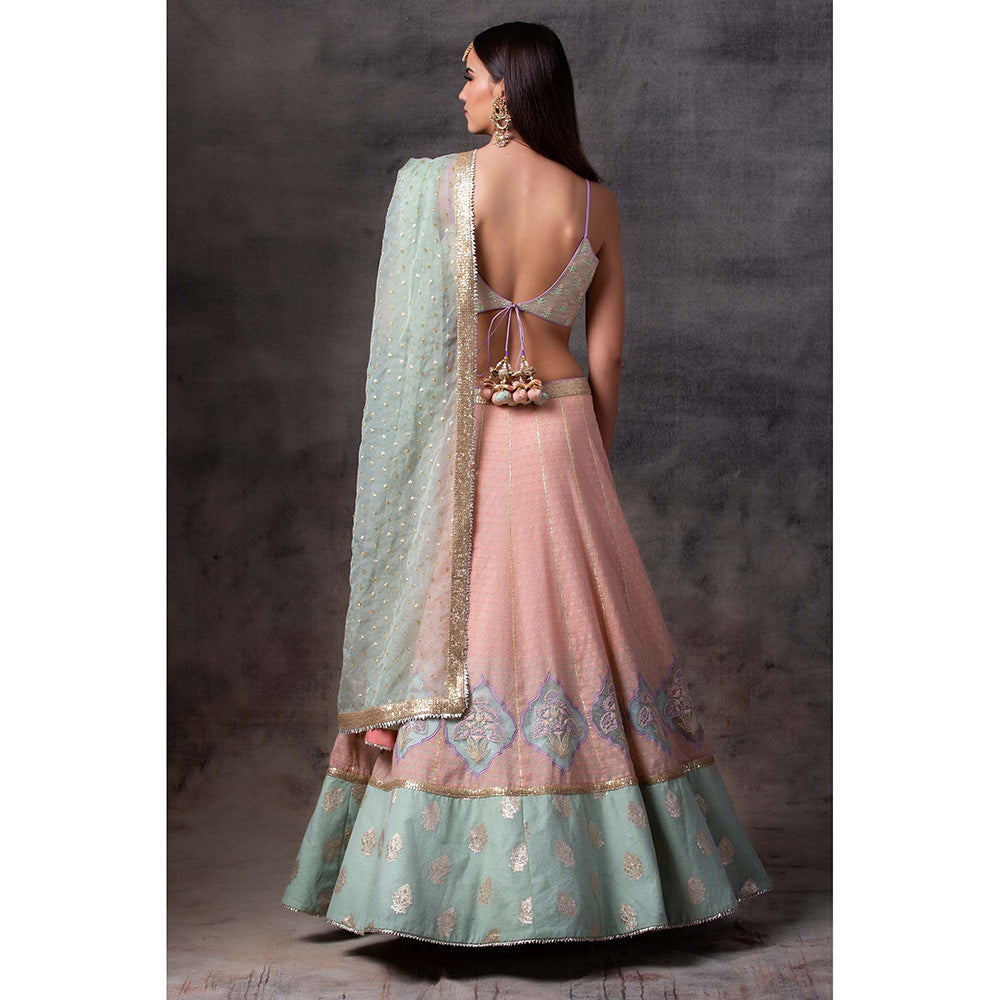 AVNNI KAPUR Peach Lehenga with Bottom Hem, Paired with Choli with Organza Dupatta (Set of 3)