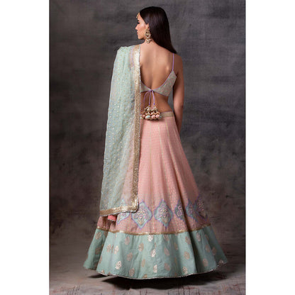 AVNNI KAPUR Peach Lehenga with Bottom Hem, Paired with Choli with Organza Dupatta (Set of 3)