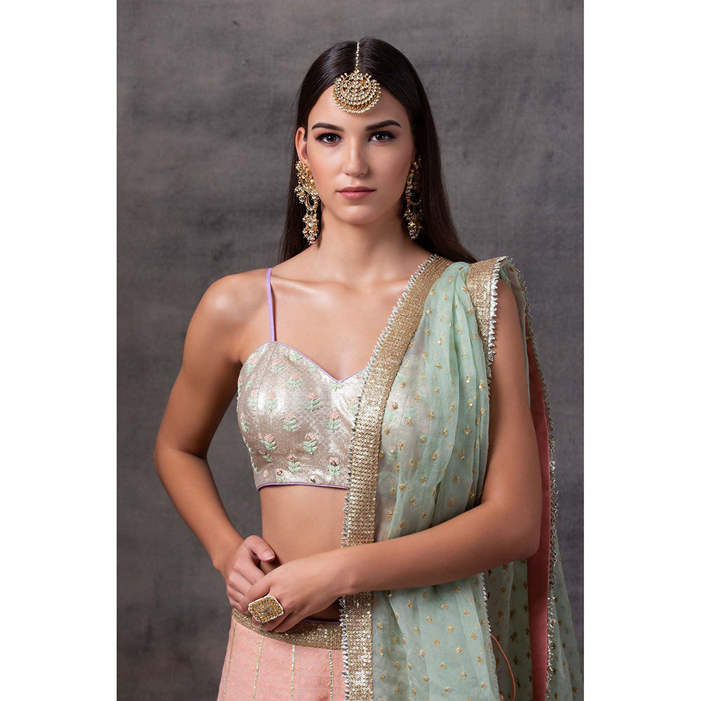 AVNNI KAPUR Peach Lehenga with Bottom Hem, Paired with Choli with Organza Dupatta (Set of 3)
