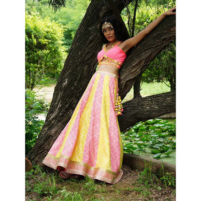 AVNNI KAPUR Woven Phulkari Lehenga with Crepe Mirror Work Choli (Set of 2)