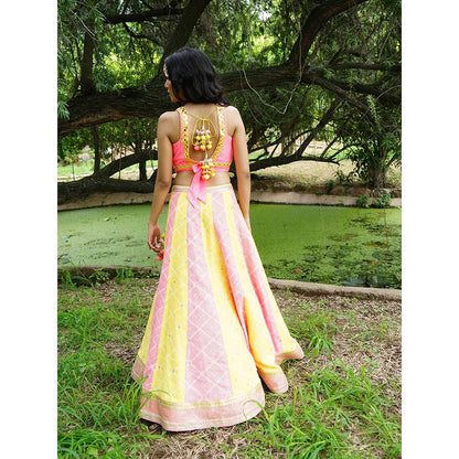 AVNNI KAPUR Woven Phulkari Lehenga with Crepe Mirror Work Choli (Set of 2)