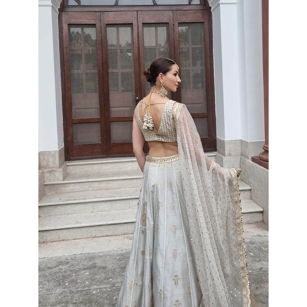 AVNNI KAPUR Grey Silk Chander Lehenga Paired with Choli and Dupatta (Set of 3)