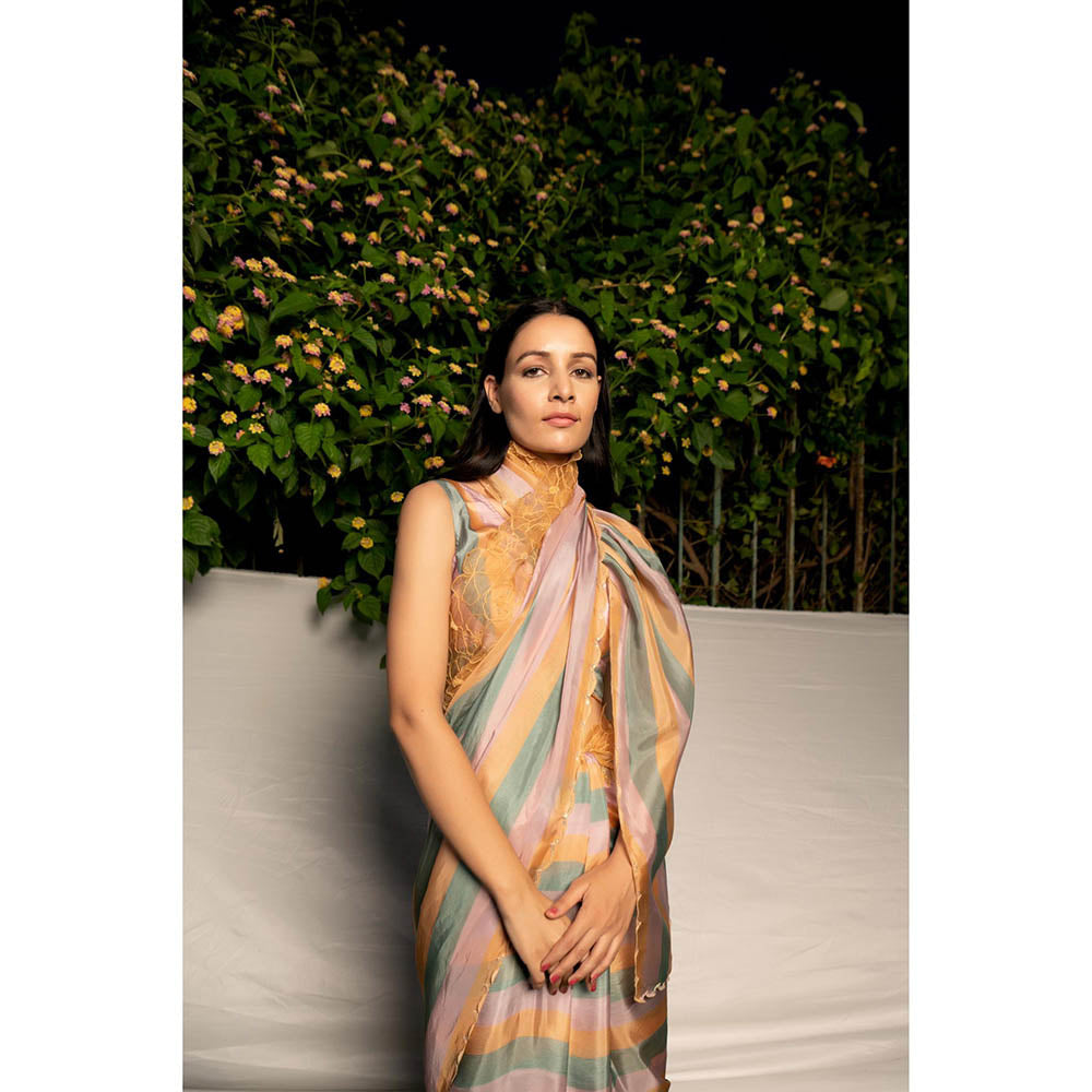 AYAKA Mustard Embroidered Panel Saree without Blouse