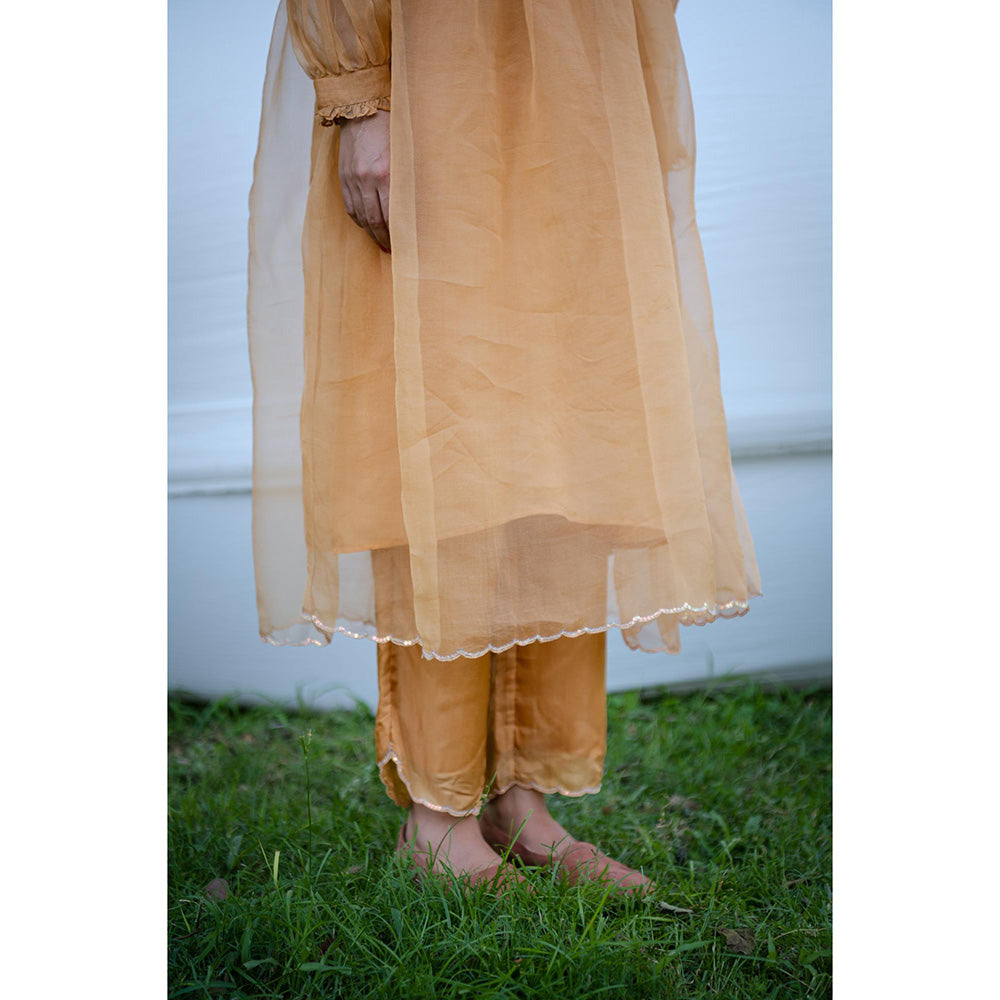 AYAKA Carly Mustard Pull-On Pant