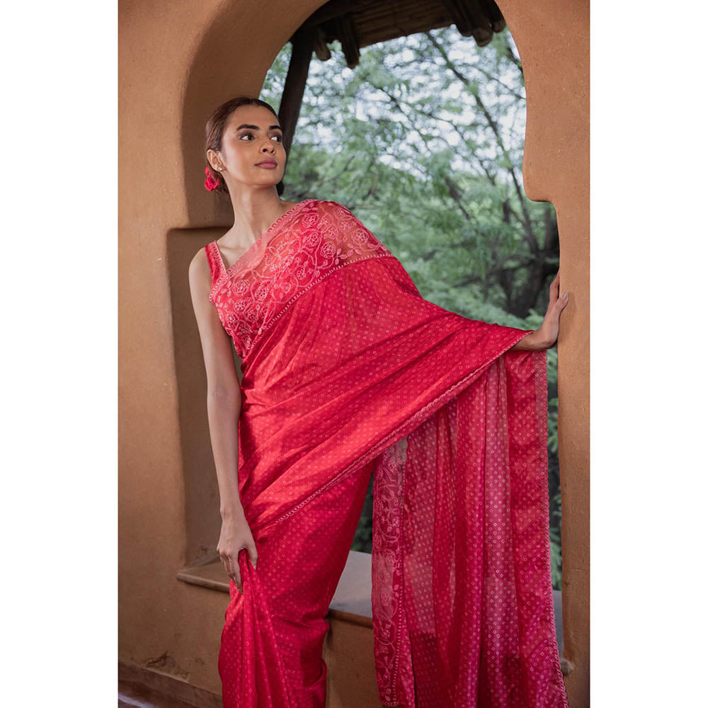 AYAKA Floral Red Hand Embroidered Saree without Blouse