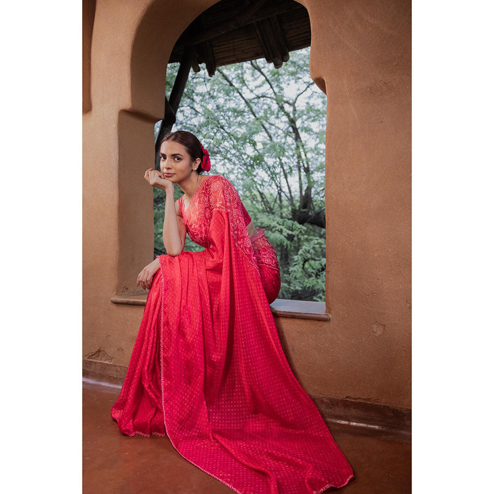 AYAKA Floral Red Hand Embroidered Saree without Blouse