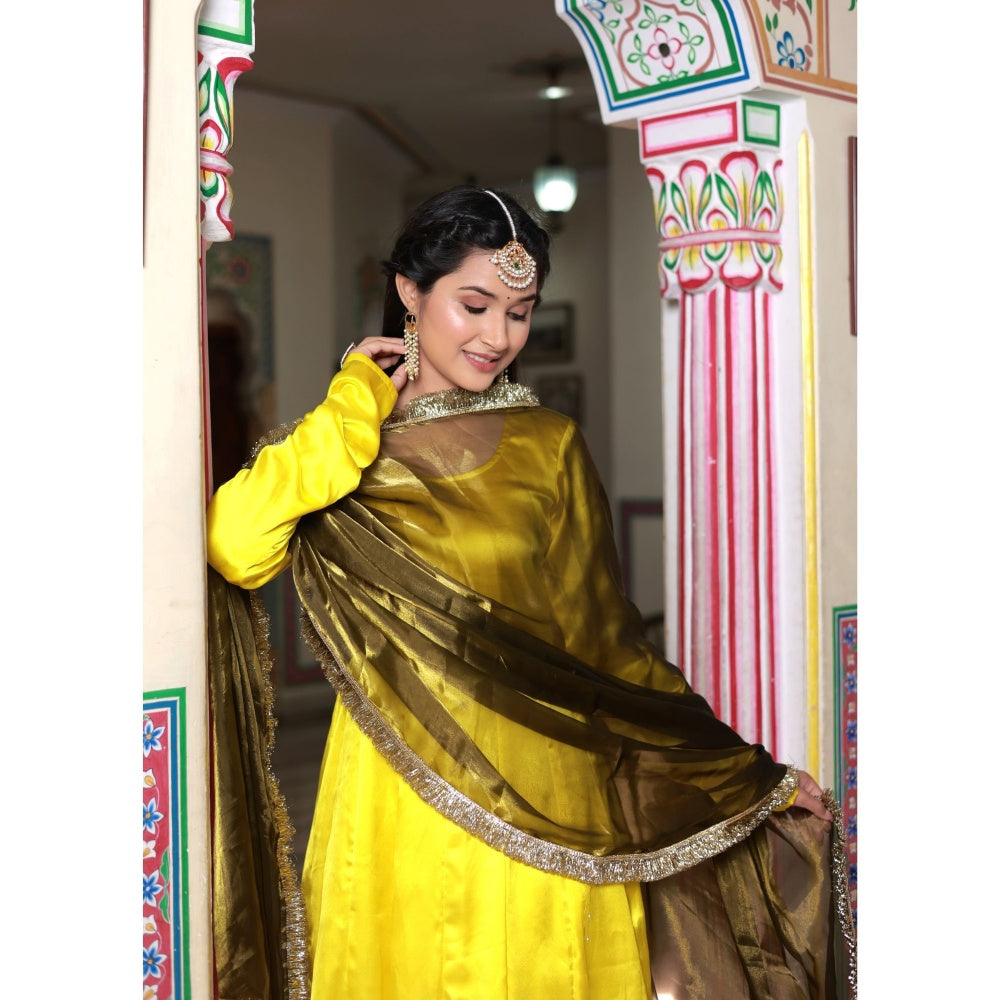 Bannhi by Priyanka Rathore Sarika Satin Anarkali Suit (Set of 3)