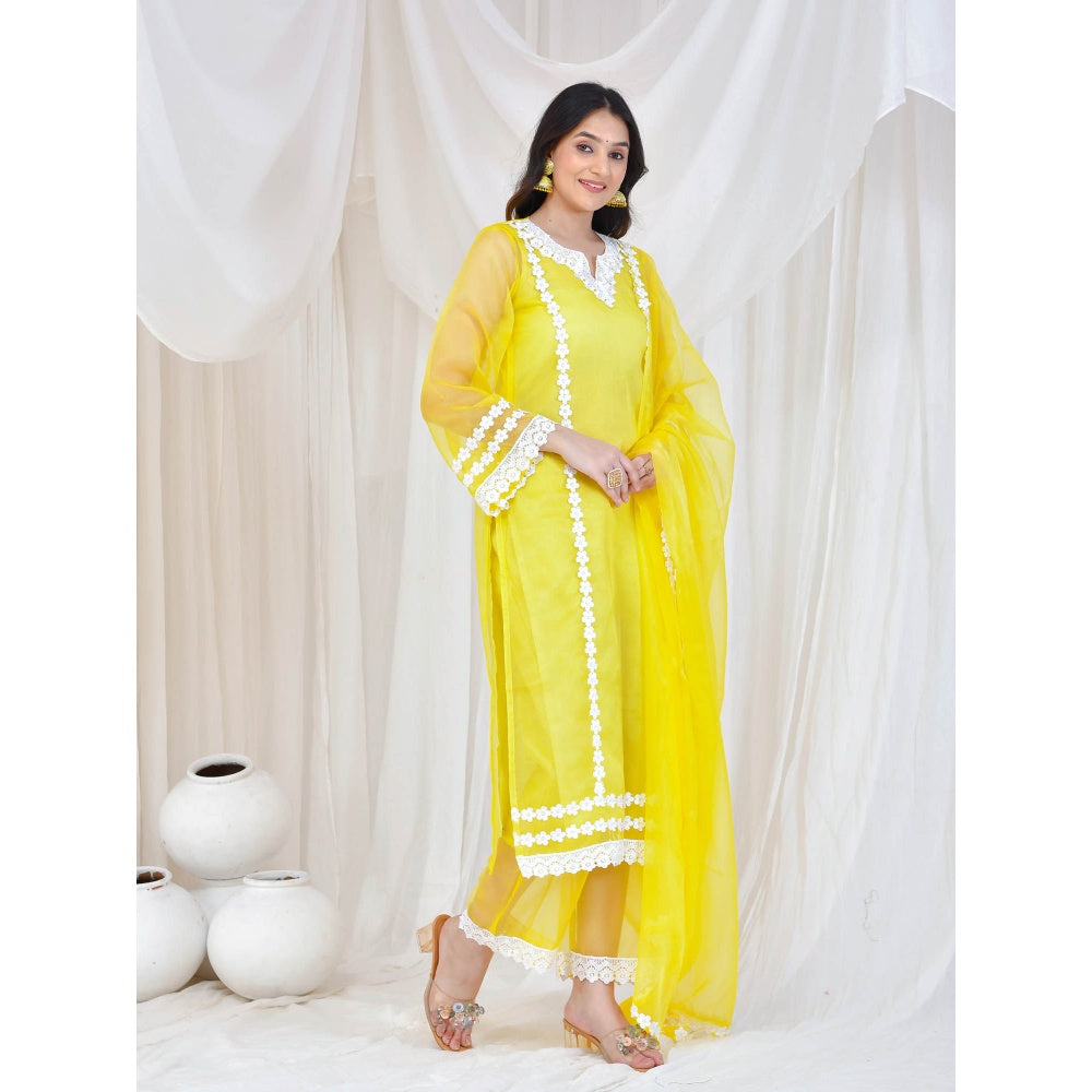 Bannhi by Priyanka Rathore Yellow Organza Kurta With Pant, Inner and Dupatta (Set of 4)