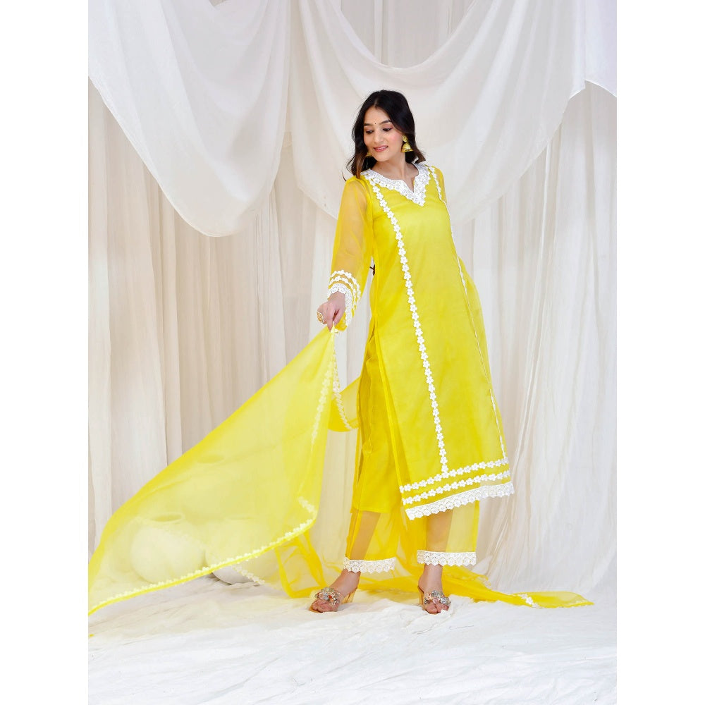 Bannhi by Priyanka Rathore Yellow Organza Kurta With Pant, Inner and Dupatta (Set of 4)