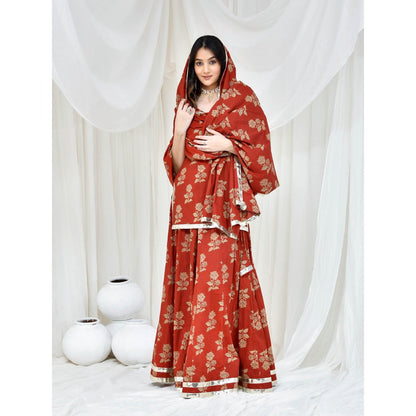 Bannhi by Priyanka Rathore Maroon Cotton Printed Kurti With Skirt And Dupatta (Set of 3)