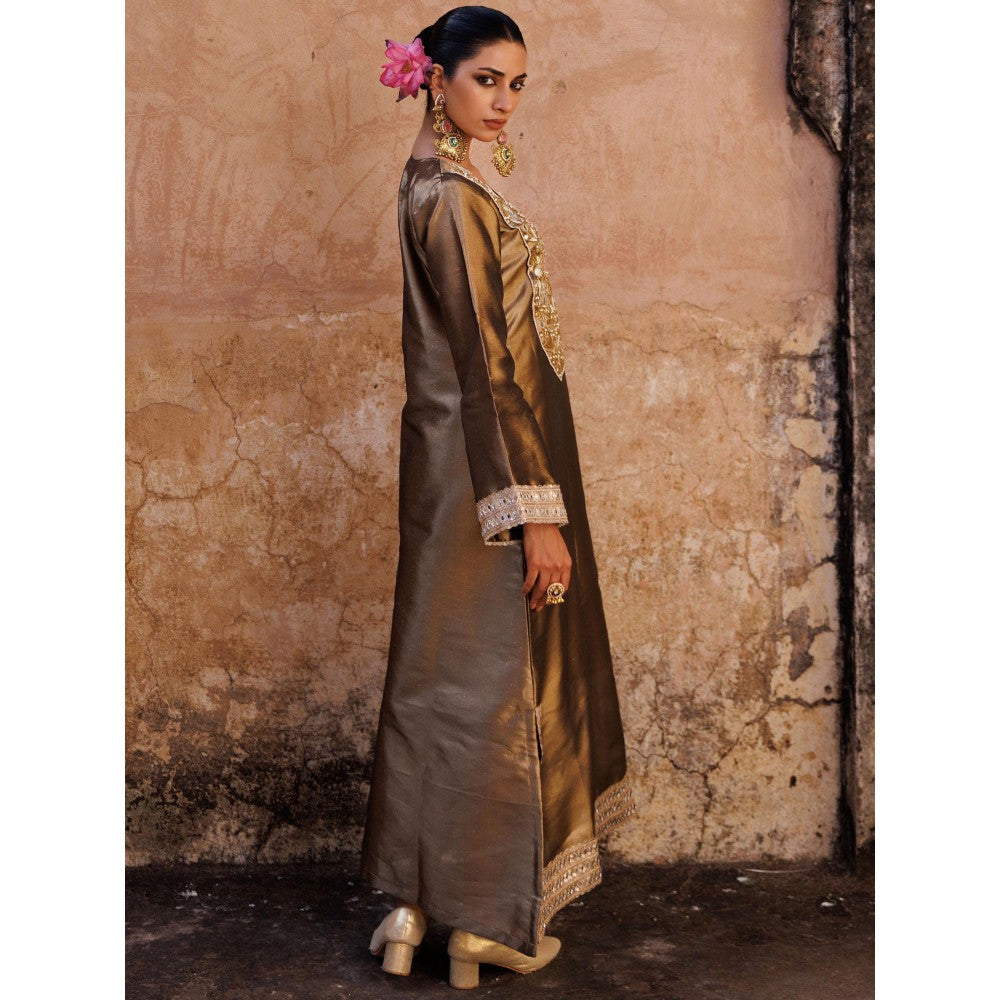 Bannhi Brown Metallic, Hand Embroidered Tissue Dress