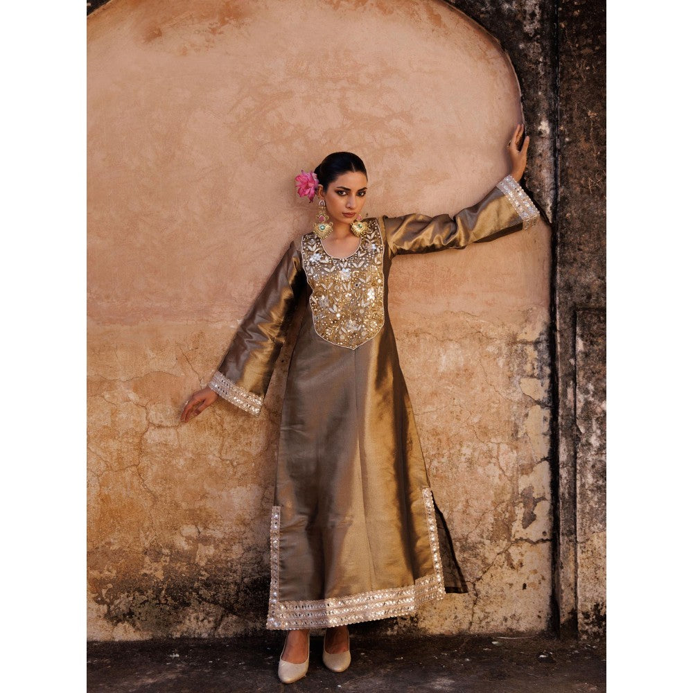 Bannhi Brown Metallic, Hand Embroidered Tissue Dress