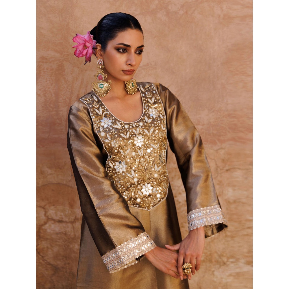 Bannhi Brown Metallic, Hand Embroidered Tissue Dress