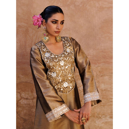 Bannhi Brown Metallic, Hand Embroidered Tissue Dress