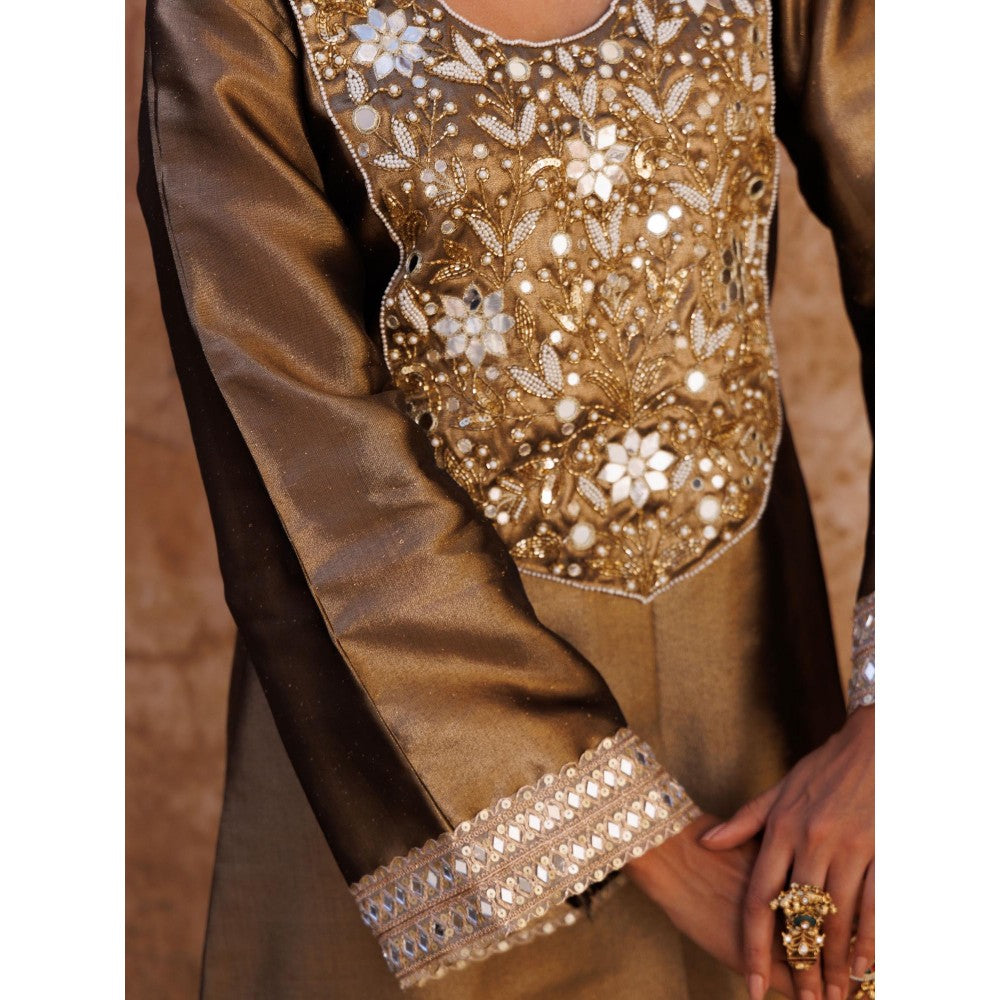 Bannhi Brown Metallic, Hand Embroidered Tissue Dress