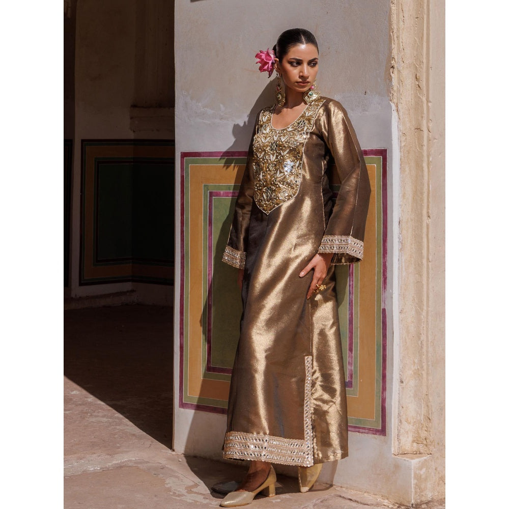 Bannhi Brown Metallic, Hand Embroidered Tissue Dress