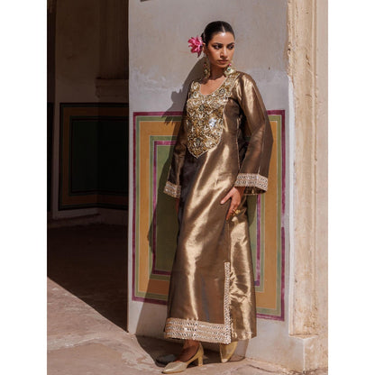 Bannhi Brown Metallic, Hand Embroidered Tissue Dress