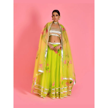Bannhi Green Leela Hand Painted Lehenga with Stitched Blouse and Dupatta