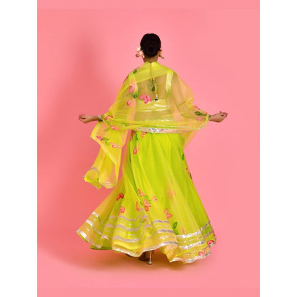 Bannhi Green Leela Hand Painted Lehenga with Stitched Blouse and Dupatta