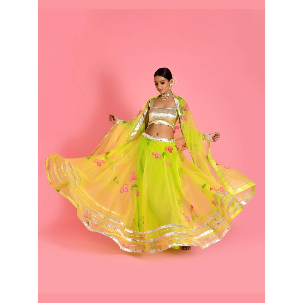 Bannhi Green Leela Hand Painted Lehenga with Stitched Blouse and Dupatta