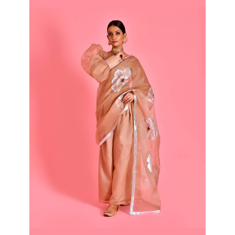 Bannhi Brown Raas Hand Painted Pre-Draped Saree With Stitched Blouse