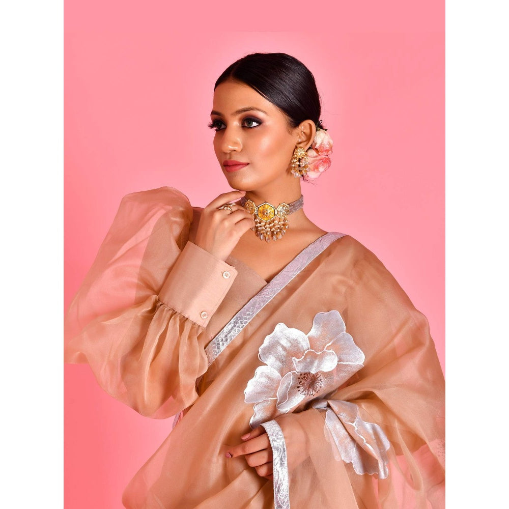 Bannhi Brown Raas Hand Painted Pre-Draped Saree With Stitched Blouse