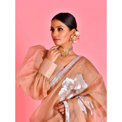 Bannhi Brown Raas Hand Painted Pre-Draped Saree With Stitched Blouse