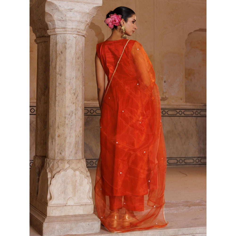 Bannhi Orange Silk, Hand Embroidered Anarkali With Pant and Dupatta