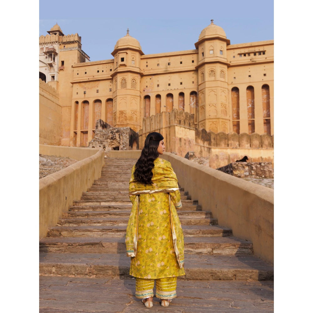 Bannhi Olive Yellow Chanderi Kurta With Pant and Dupatta