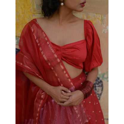 Baaro Masi Dahlia Red Brocade Lehnga with Organza Dupatta (Set of 3)