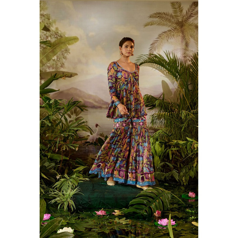 Baise Gaba Devi Gharara & Tunic (Set of 2)