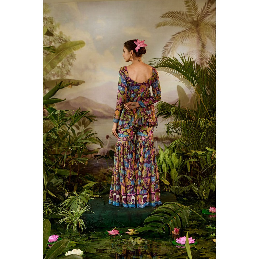 Baise Gaba Devi Gharara & Tunic (Set of 2)