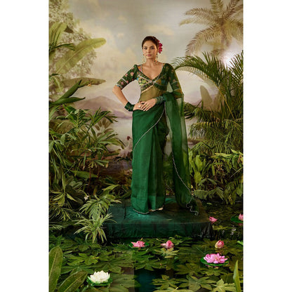 Baise Gaba Taru Pre-Draped Saree with Stitched Blouse