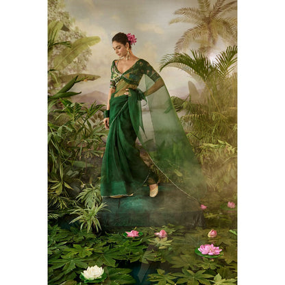 Baise Gaba Taru Pre-Draped Saree with Stitched Blouse