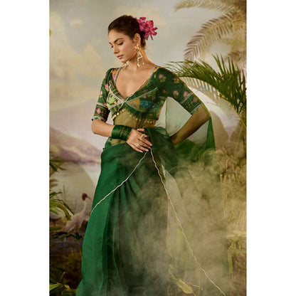 Baise Gaba Taru Pre-Draped Saree with Stitched Blouse