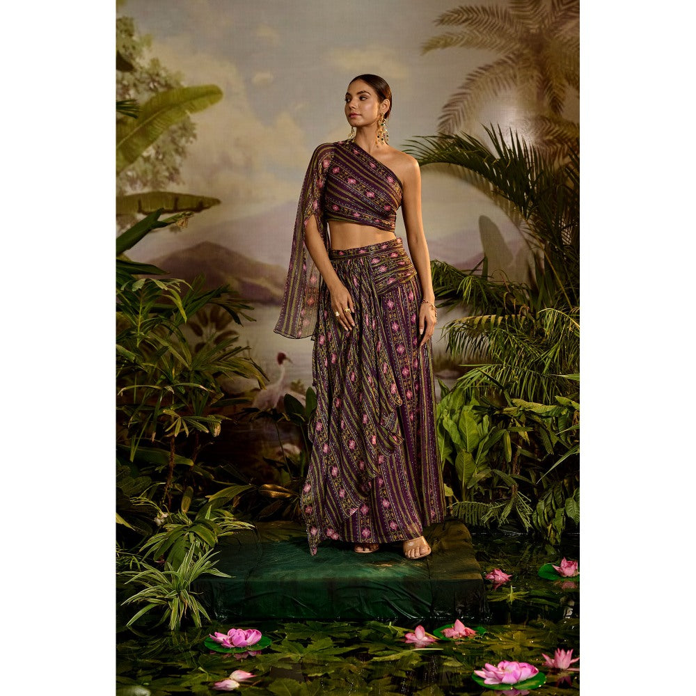 Baise Gaba Sharvari Skirt & Crop Top (Set of 2)