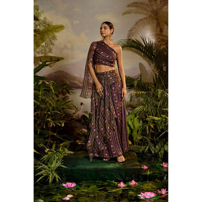 Baise Gaba Sharvari Skirt & Crop Top (Set of 2)