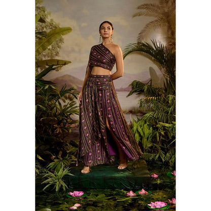 Baise Gaba Sharvari Skirt & Crop Top (Set of 2)