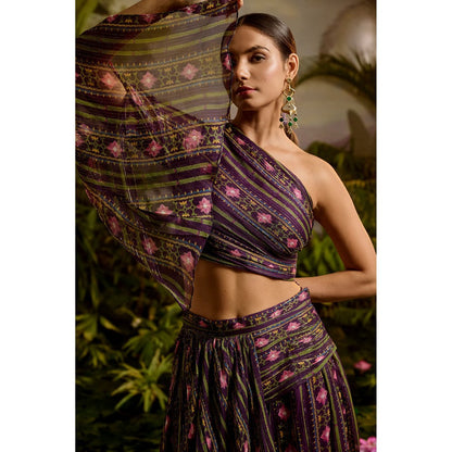 Baise Gaba Sharvari Skirt & Crop Top (Set of 2)
