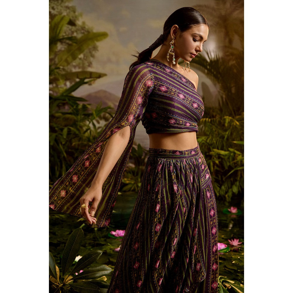 Baise Gaba Sharvari Skirt & Crop Top (Set of 2)